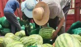 莱芜区吃瓜最新事件爆料,揭秘背后惊人真相！