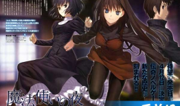 魔法使之夜动漫,探寻命运交织的奇幻旅程