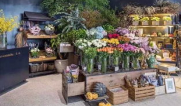 51爆料吃瓜网 花店,花店背后的惊人真相大揭秘！